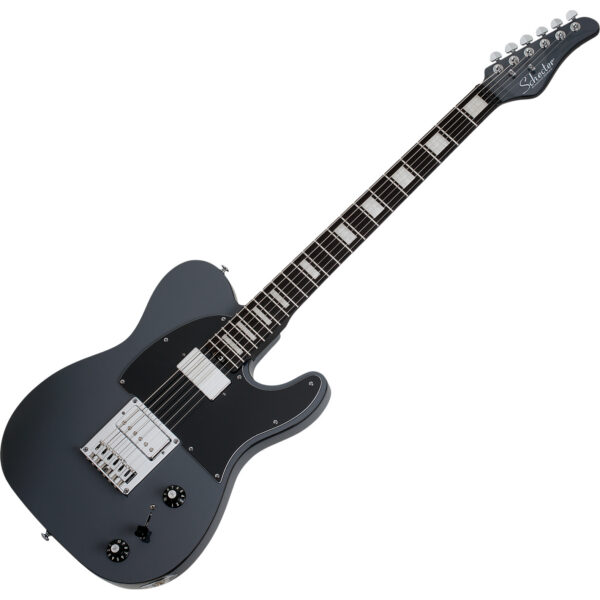 Schecter PT-Ex Electric Guitar - Dorian Gray