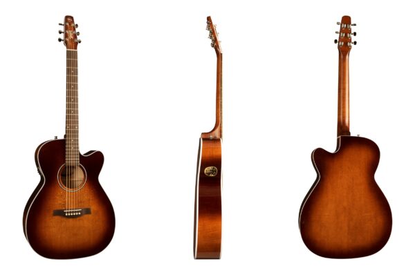 Seagull Performer CW Concert Hall Burnt Umber QIT